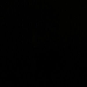 SUPER RARE 1of1 EXCLUSIVE LIMITED EDITON 24-hrs. of COMPLETE PEACE & SELF-HEALTH